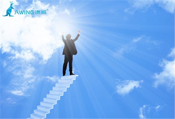 鋁合金門窗十大品牌企業(yè)立足市場的方法 鋁合金門窗十大品牌企業(yè)立足市場的方法