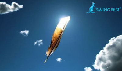 鋁合金門窗加盟商不斷學習才能笑對行業的風雨變幻